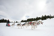 p-f.ch_130309_0959_7920_5D