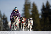 p-f.ch_130310_0948_4968_1D