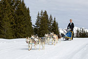 p-f.ch_130310_1104_5367_1D