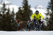 p-f.ch_130310_1135_5396_1D