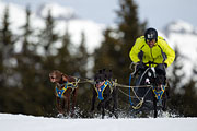 p-f.ch_130310_1135_5400_1D