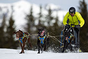 p-f.ch_130310_1135_5406_1D