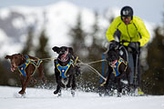 p-f.ch_130310_1135_5409_1D