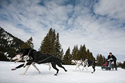 p-f.ch_130310_1135_8047_5D