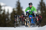 p-f.ch_130310_1137_5436_1D