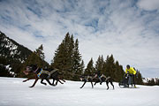 p-f.ch_130310_1137_8048_5D