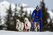 p-f.ch_130310_1139_5451_1D