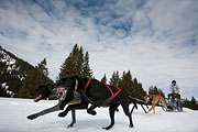 p-f.ch_130310_1139_8049_5D