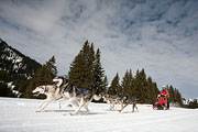 p-f.ch_130310_1146_8057_5D