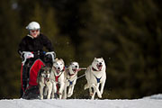 p-f.ch_130310_1147_5583_1D