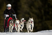 p-f.ch_130310_1147_5587_1D