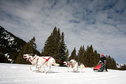 p-f.ch_130310_1147_8058_5D