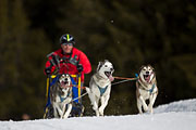 p-f.ch_130310_1148_5598_1D