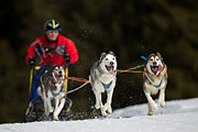 p-f.ch_130310_1148_5605_1D