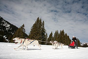 p-f.ch_130310_1149_8059_5D