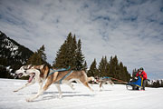 p-f.ch_130310_1149_8060_5D