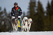 p-f.ch_130310_1150_5617_1D
