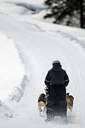 p-f.ch_130310_1150_5628_1D