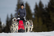 p-f.ch_130310_1150_5639_1D