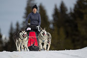 p-f.ch_130310_1150_5640_1D