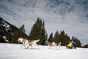 p-f.ch_130310_1151_8061_5D