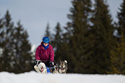 p-f.ch_130310_1152_5653_1D
