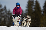 p-f.ch_130310_1152_5658_1D