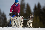 p-f.ch_130310_1152_5663_1D