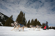 p-f.ch_130310_1152_8062_5D