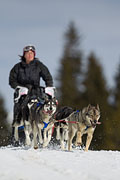 p-f.ch_130310_1153_5678_1D