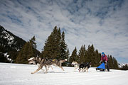 p-f.ch_130310_1153_8063_5D