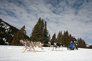 p-f.ch_130310_1154_8064_5D