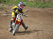 Andelot