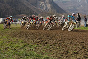 20070331_12066
