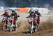 080621_1138_29531_5D