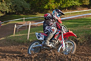 081011_1644_29060_5D
