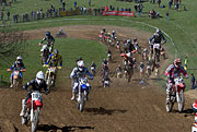 Motocross Angora 2008 - Combremont