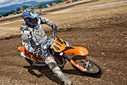 080823_1503_27411_5D