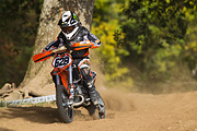p-f.ch_101009_1546_3438_1D