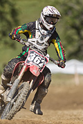 p-f.ch_100807_1554_1244_1D
