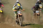 p-f.ch_110416_1530_3763_1D