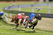 p-f.ch_100801_1051_9296_1D