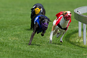 p-f.ch_110807_1319_2162_1D