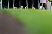 p-f.ch_110807_1532_2273_1D