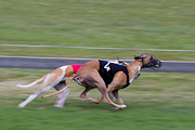 p-f.ch_110807_1619_2405_1D