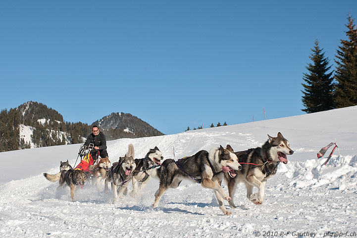 Galerie TransAlp, Les Mosses